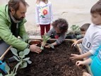 Δημιουργία Λαχανόκηπων στους Δημοτικούς Παιδικούς Σταθμούς!