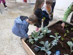 Δημιουργία Λαχανόκηπων στους Δημοτικούς Παιδικούς Σταθμούς!