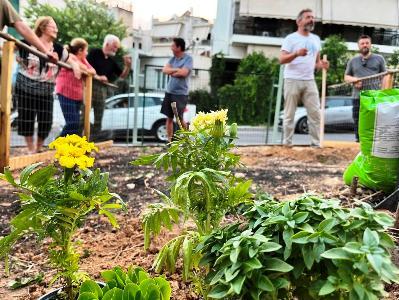 Ένας νέος «Κοινωνικός Βιολογικός Λαχανόκηπος» φέρνει την αστική καλλιέργεια στον Δήμο Πετρούπολης.