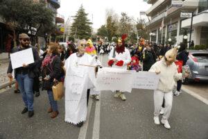 Απόκριες στην Πετρούπολη 2026: Ξεφάντωμα μικρών και μεγάλων στην παρέλαση και στην πλατεία «Ηρώ»