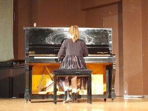 Διήμερο με επιτυχημένες εκδηλώσεις Πολιτισμού στην Πετρούπολη