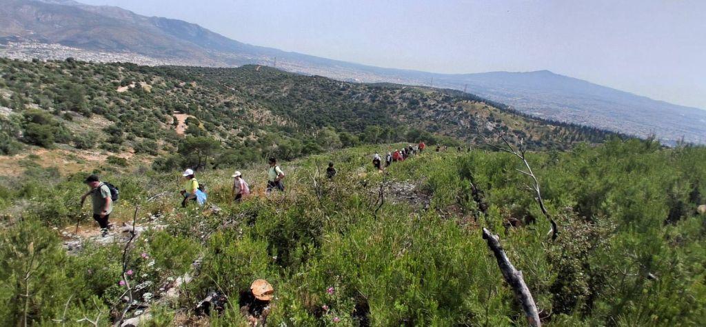 Πετυχημένη πεζοπορία «Γνωριμίας με το Ποικίλο Όρος»