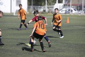 Με τη συμμετοχή 500 παιδιών οι ετήσιες εκδηλώσεις των δημοτικών τμημάτων ποδοσφαίρου και κολύμβησης Με τη συμμετοχή 500 παιδιών οι ετήσιες εκδηλώσεις των δημοτικών τμημάτων ποδοσφαίρου και κολύμβησης