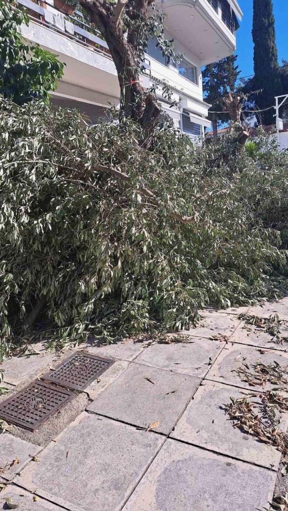 Σχετικά με την περισυλλογή κλαδεμάτων και ογκωδών απορριμμάτων