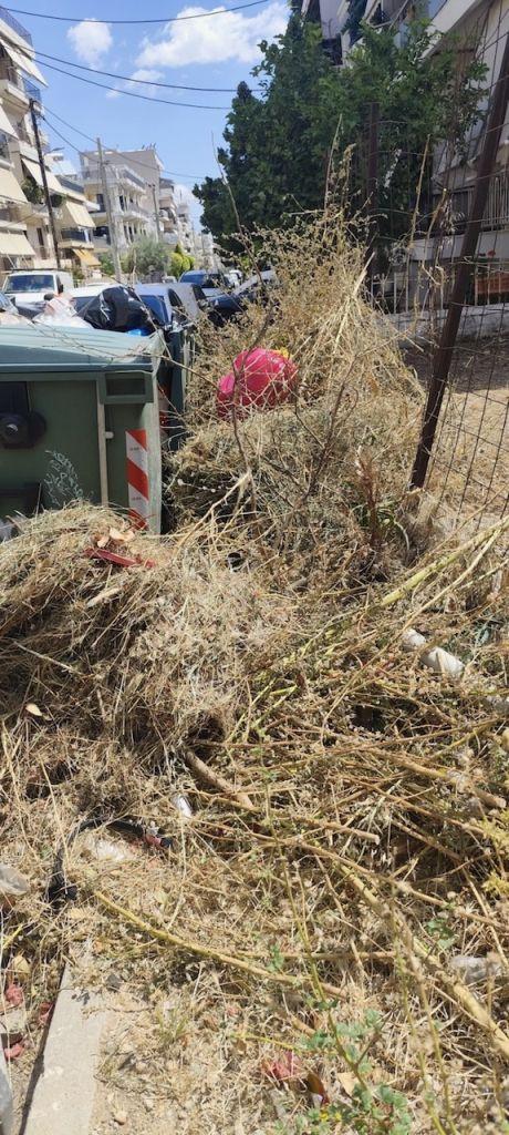 Σχετικά με την περισυλλογή κλαδεμάτων και ογκωδών απορριμμάτων