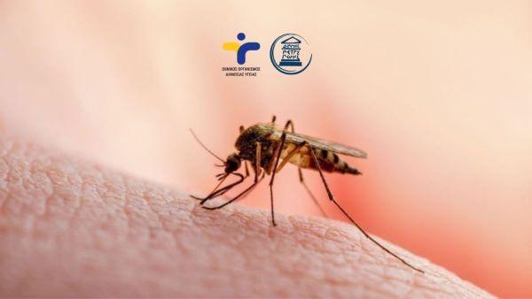 Ενημέρωση σχετικά με επιβεβαιωμένο κρούσμα ιού του Δυτικού Νείλου και μέτρα πρόληψης και προστασίας στον Δήμο μας